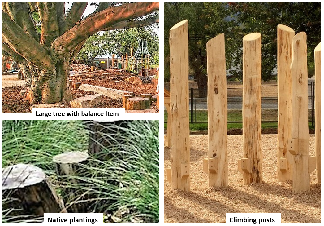 Some examples of play items: native plantings, large tree with balance item and climbing posts